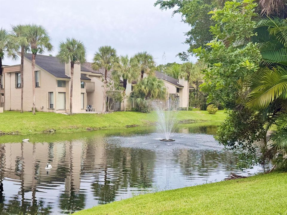 Ironwedge Boca Raton by Meyer Global Gro