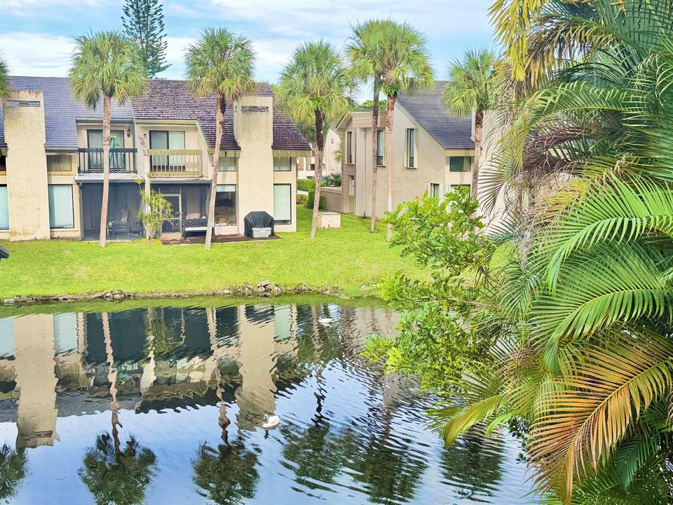 Ironwedge Boca Raton by Meyer Global Gro