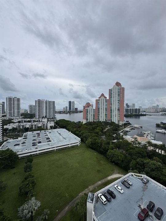 Rainy Day View