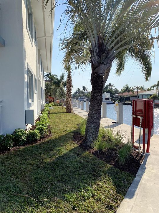 Rear of Building - Palm