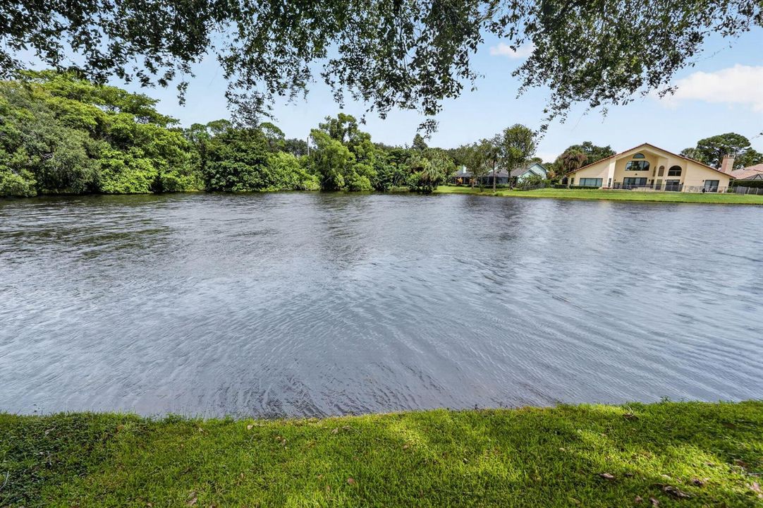 LAKE VIEW