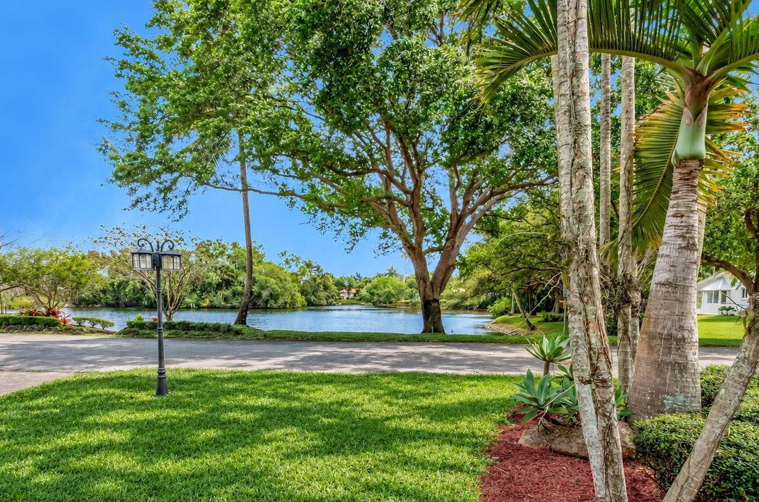 Front Yard View