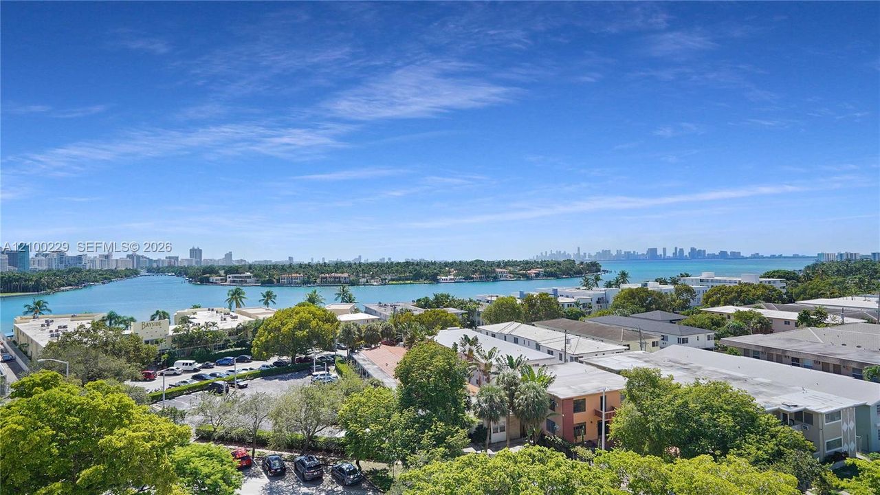 Elevated coastal perspective featuring expansive water frontage, mature tropical trees, and a metropolitan skyline backdrop
