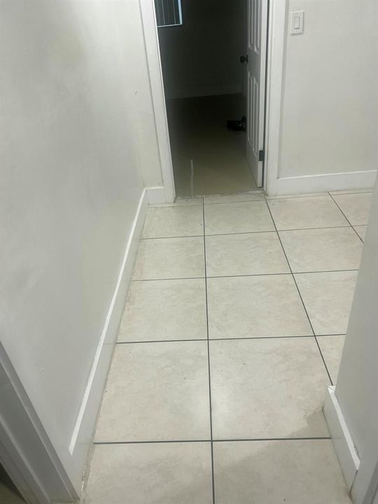 IMG_3228