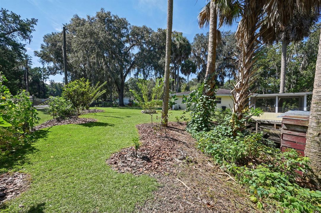 64-web-or-mls-Side View_2