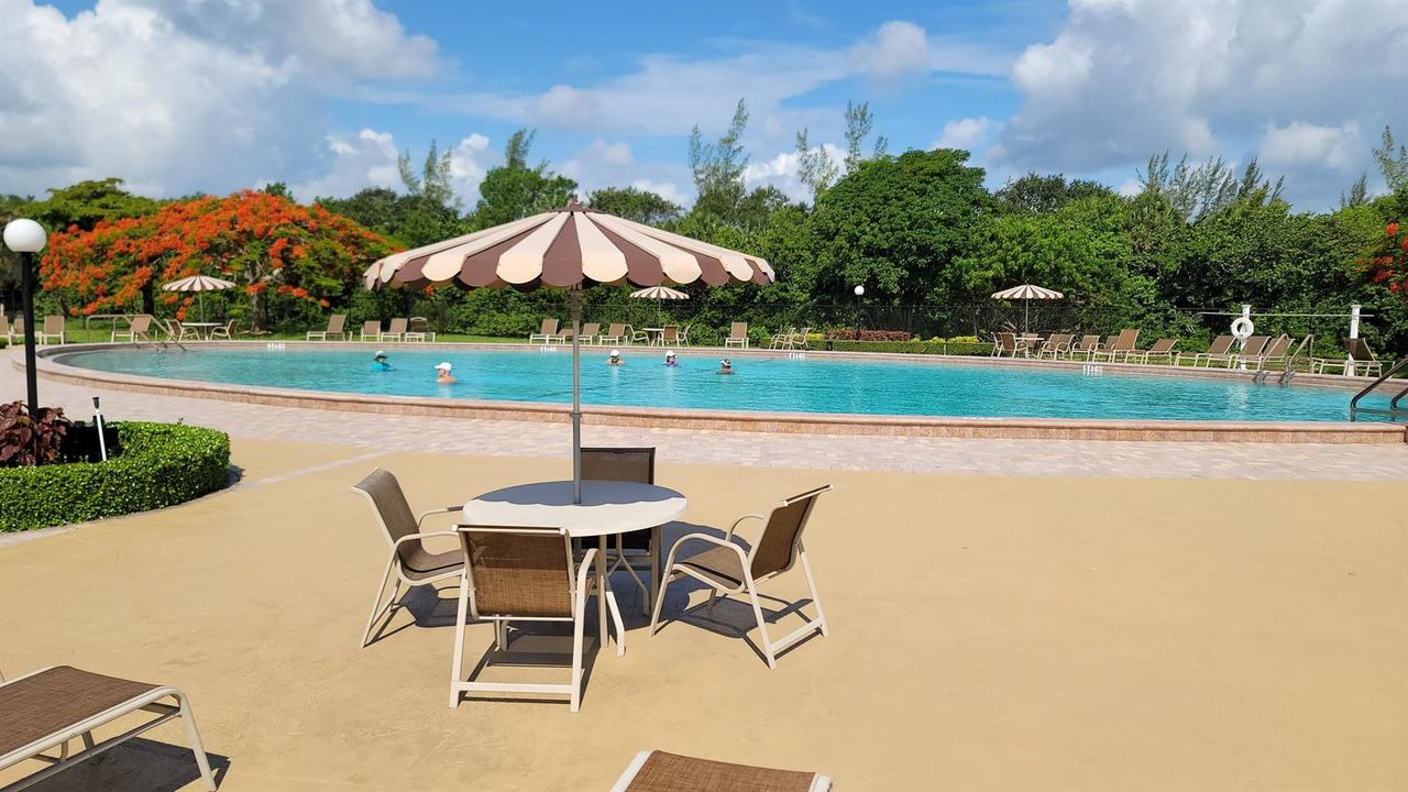 Camden Pool