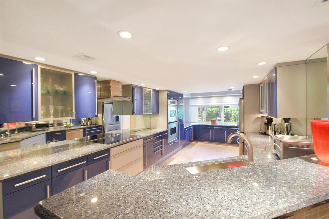 Sleek Chef's Kitchen