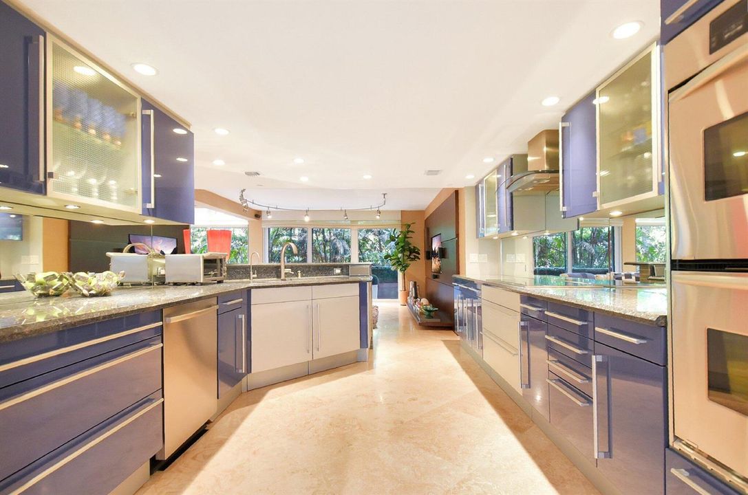 Sleek & Functional Chef's Kitchen