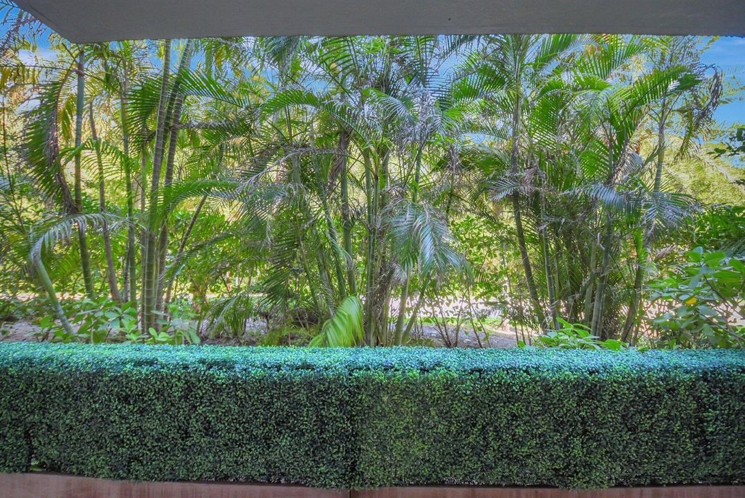 Tropical Tranquility
