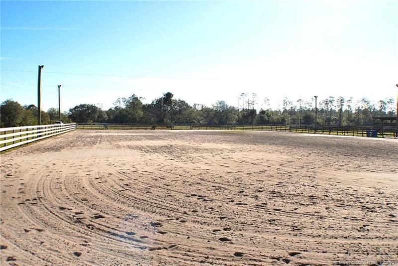 IH Horse track