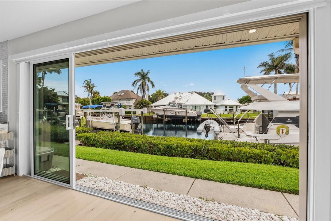 backyard View
