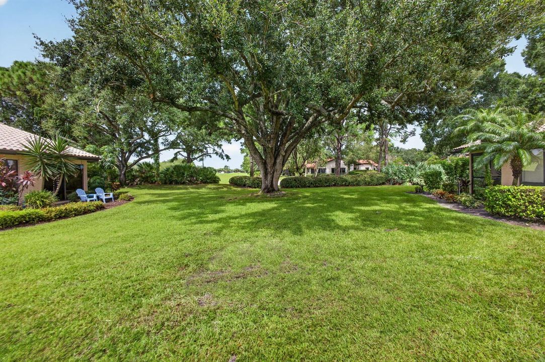 58-web-or-mls-5D1A1535