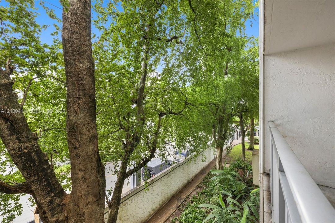 Serene tree-lined outdoor space featuring mature canopy trees, concrete retaining wall, and lush green landscaping visible from the interior window frame