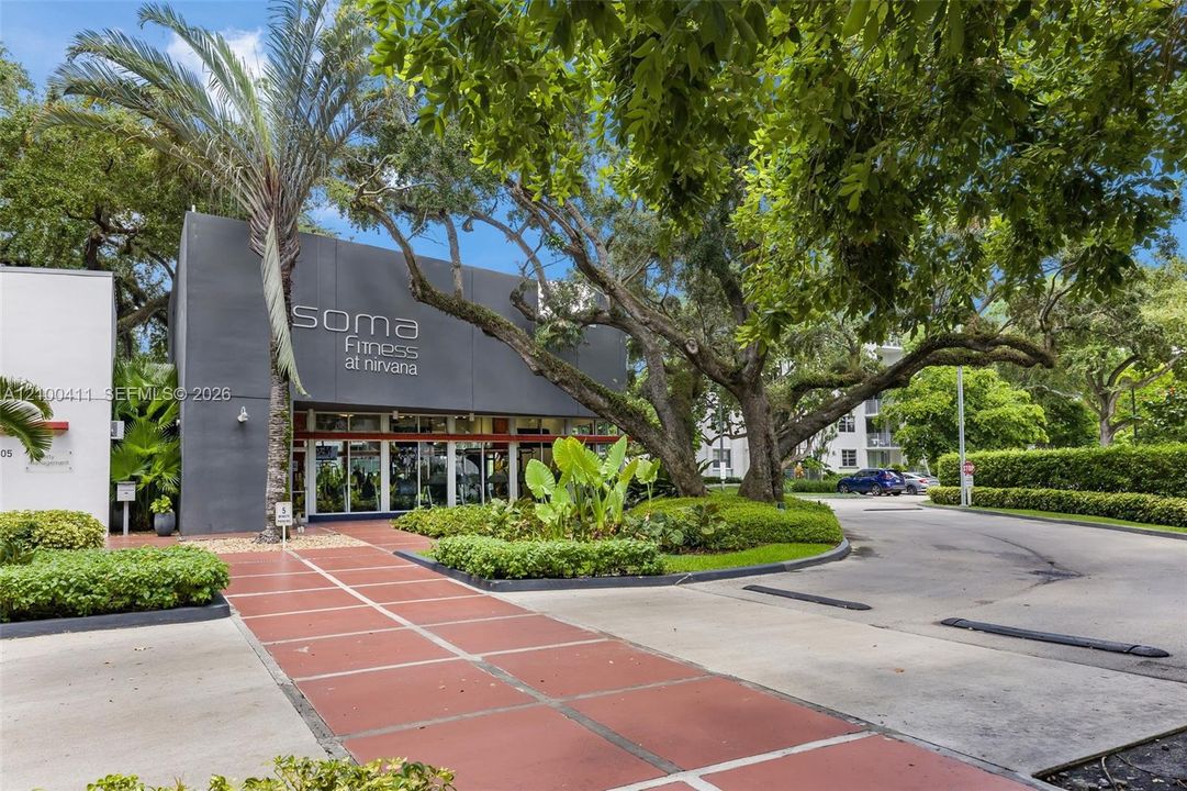Modern exterior facade featuring dark-toned concrete cladding, full-height glass storefront windows, a paved pedestrian walkway, and mature oak landscaping
