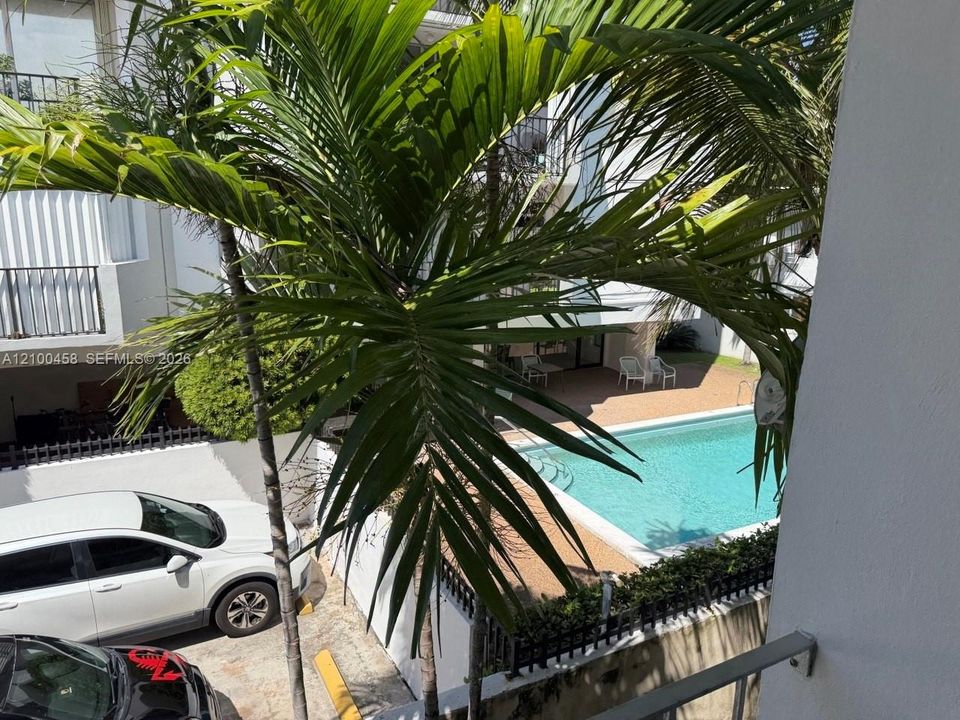 Looking Towards Pool Next Door