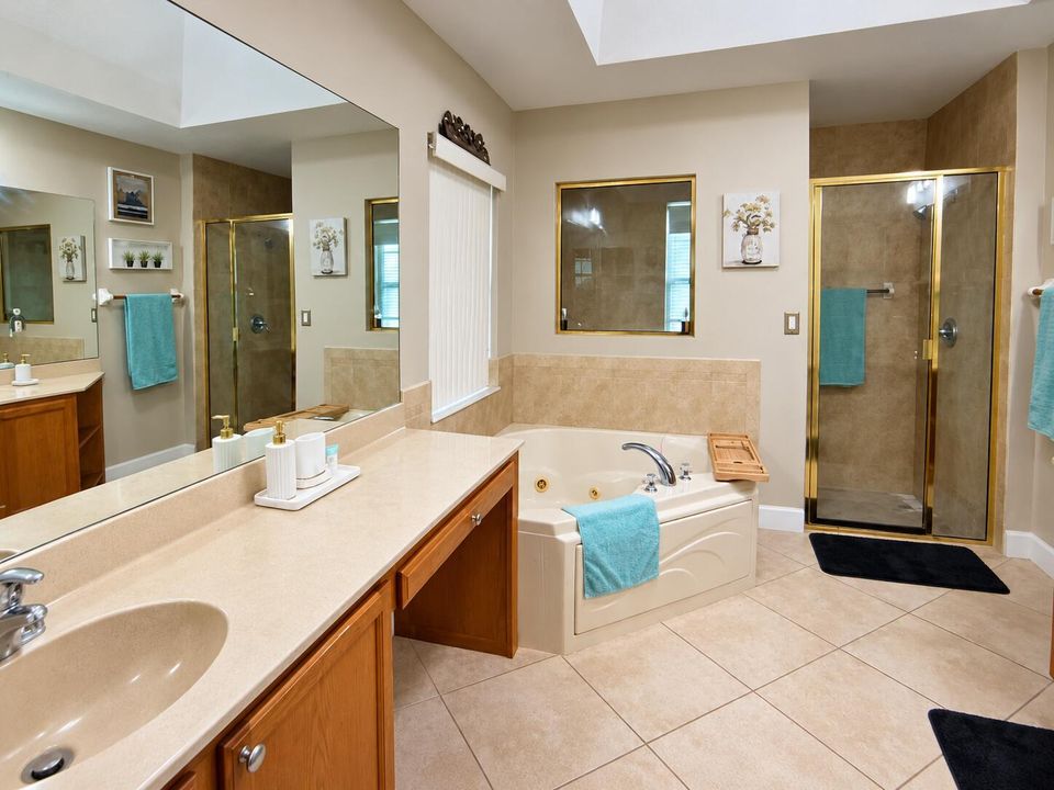 master bathroom suite pic1