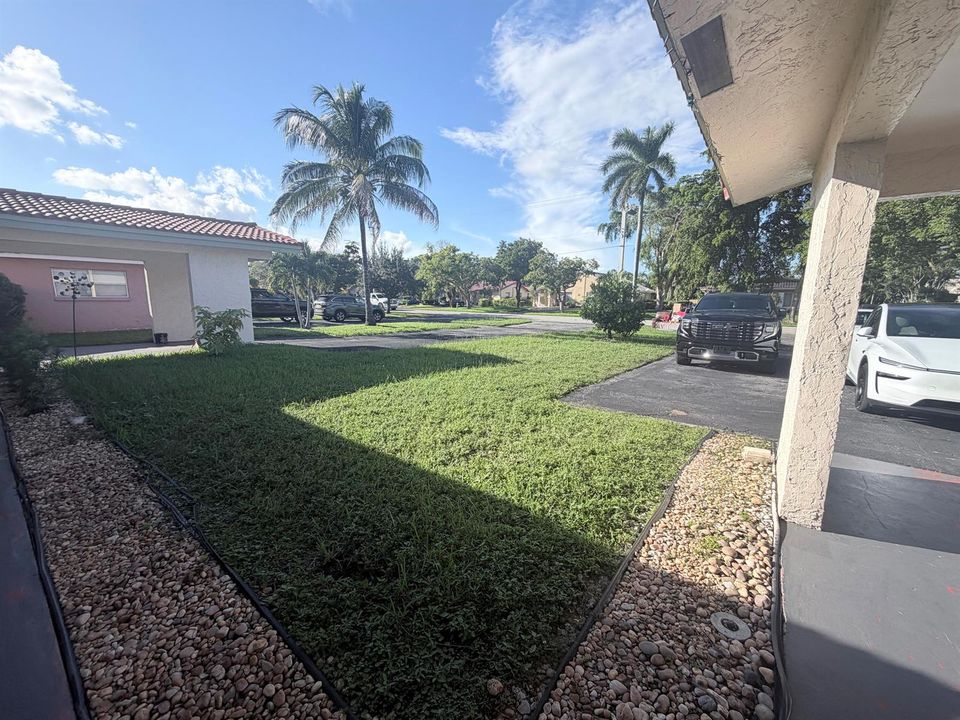 Front Yard