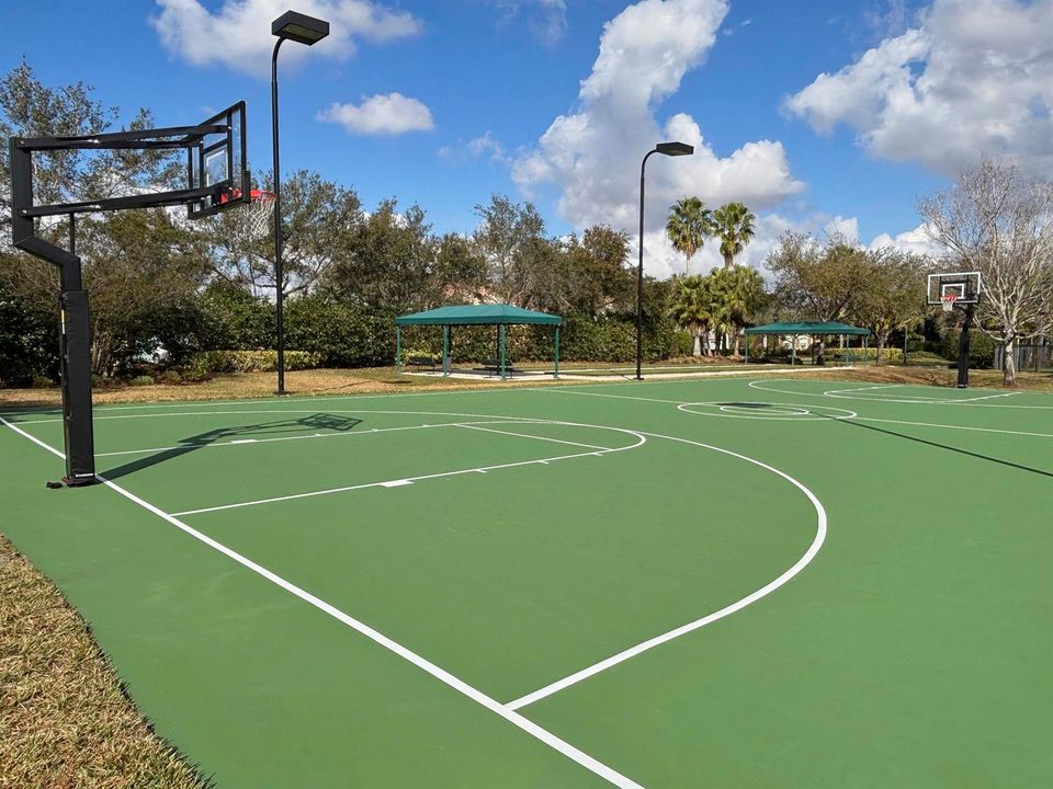 Basket Ball Court