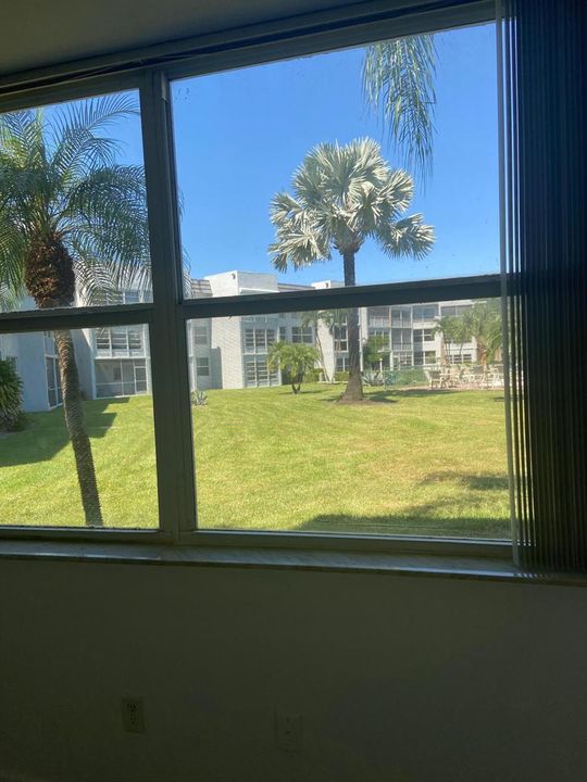 royalpalm101b (16)