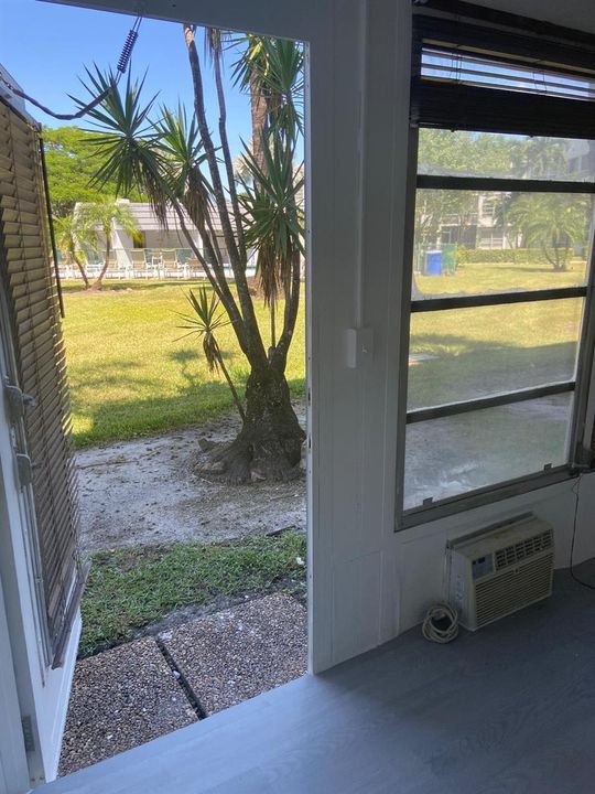 royalpalm101b (18)
