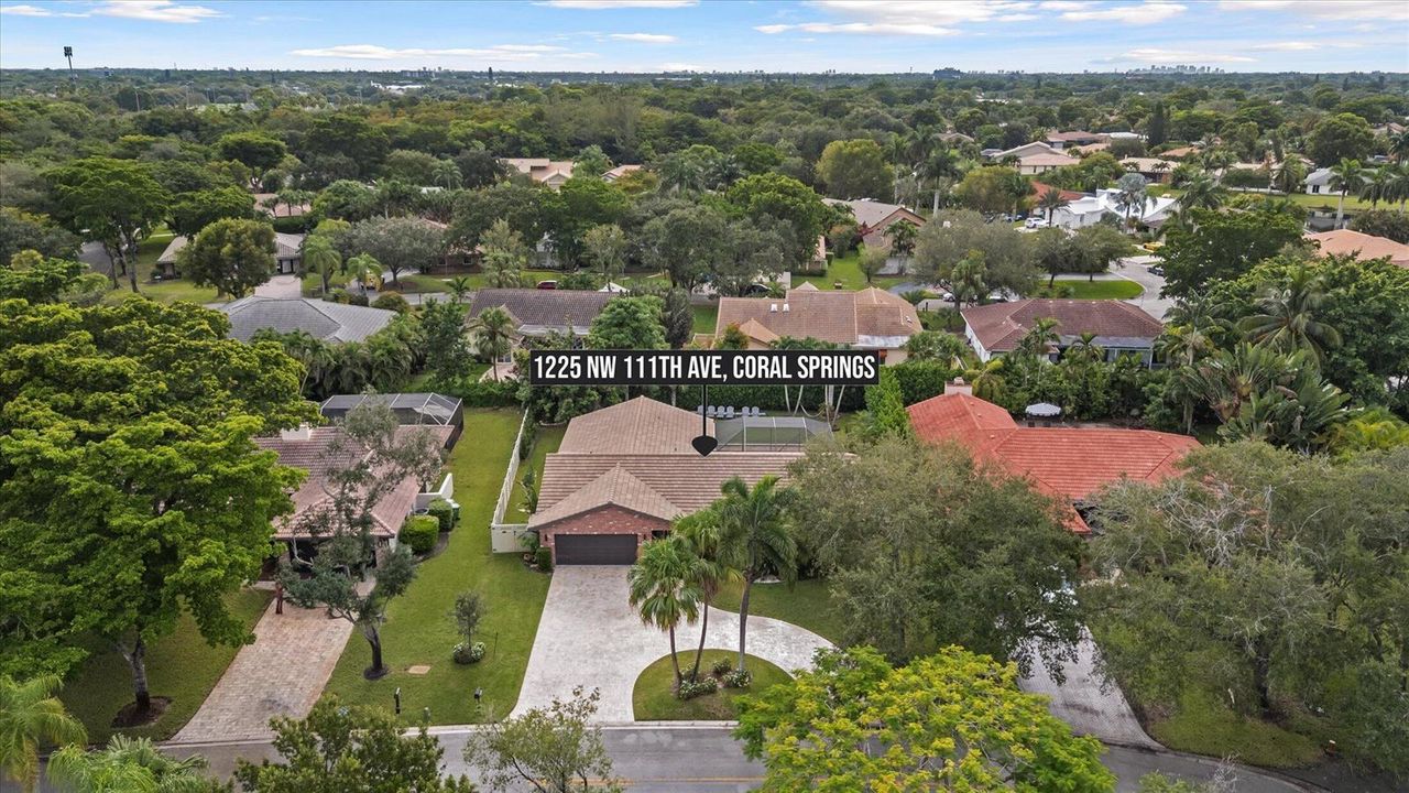 Aerial Views