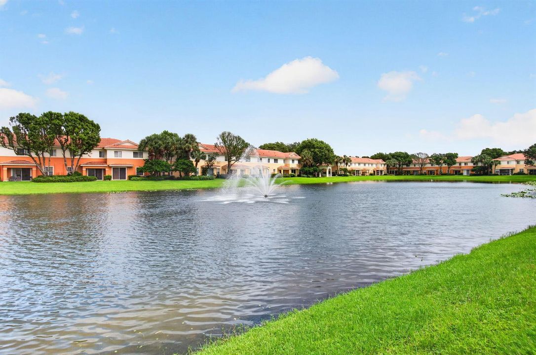 Lake view
