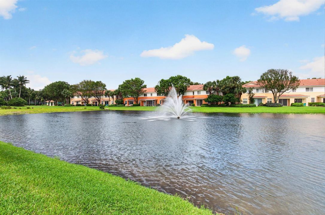Lake view