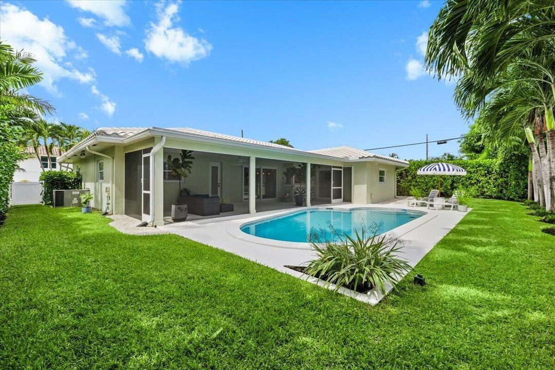 Backyard | Pool, Lawn & Mature Palms