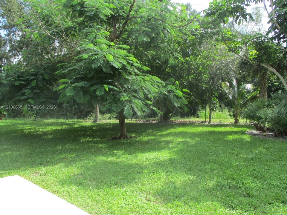 View off Lanai of Royal Poinciana tress, greenery & trees