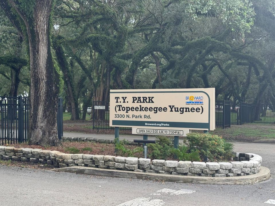 TY Park across the street