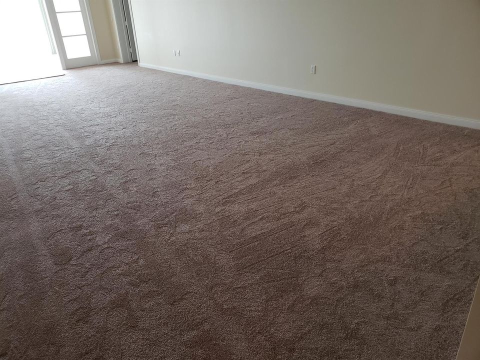 Carpet