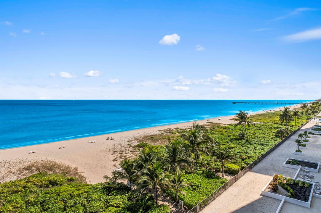 FOREVER OCEAN VIEWS
