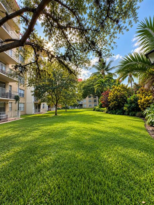 Expansive lawn area featuring mature trees, palm plantings, and multi-story building exteriors with tiered balconies