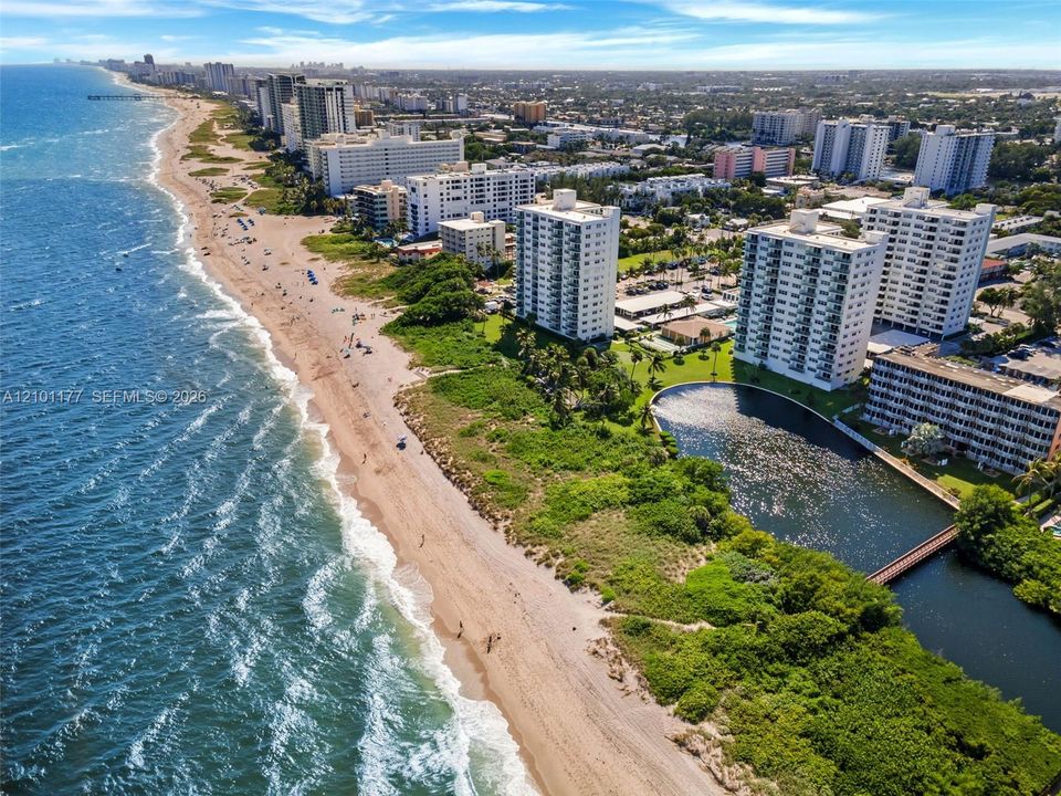 Aerial perspective of a coastal landscape featuring an expansive sandy shoreline, ocean surf, multi-story high-rise buildings, mature greenery, and a reflective water basin
