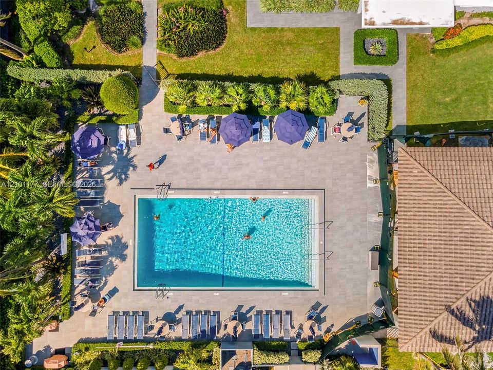 Rectangular swimming pool featuring a tiled deck, stone-paver hardscaping, mature landscaping, and palm trees