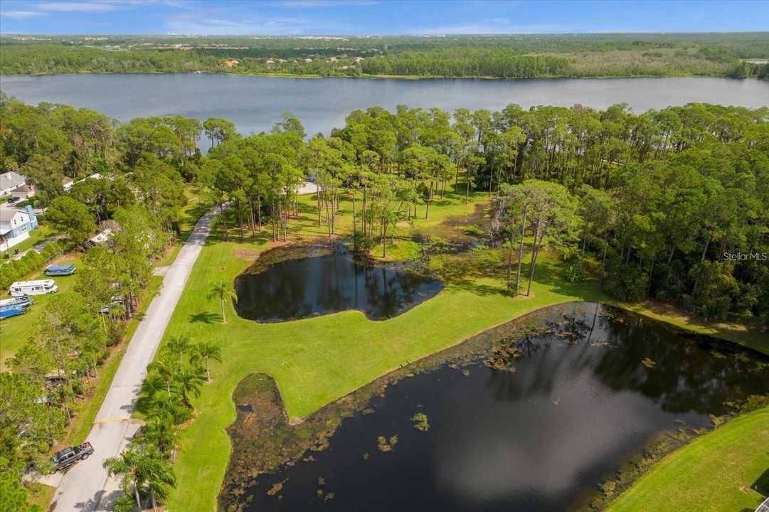 pond 2