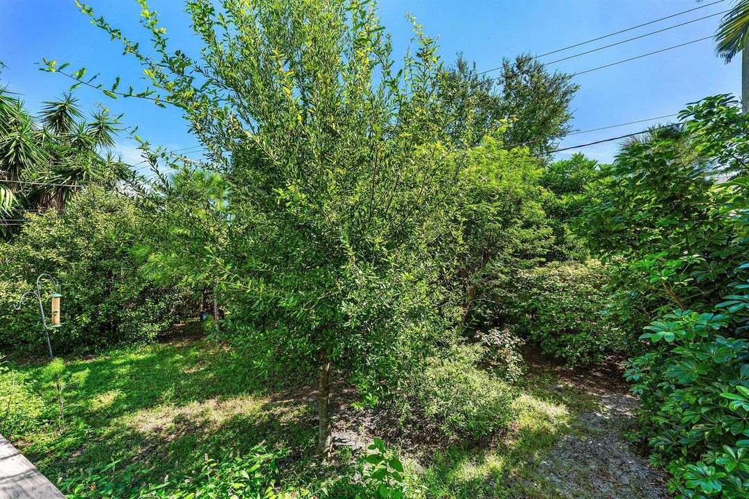 025-806NorthMStreet-LakeWorthBeach-FL-33