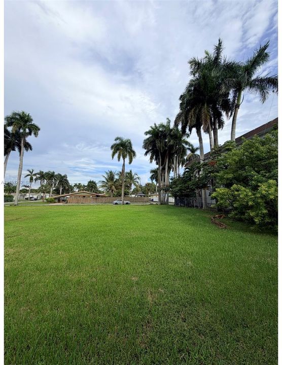 Expansive grass lawn featuring mature palm trees and established perimeter vegetation