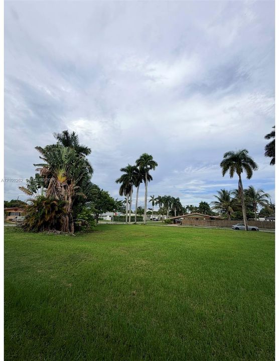 Expansive grass lot featuring mature palm trees and established tropical foliage