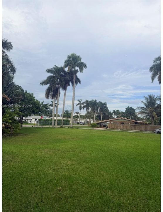 Expansive open lot featuring mature palm trees and established landscaping