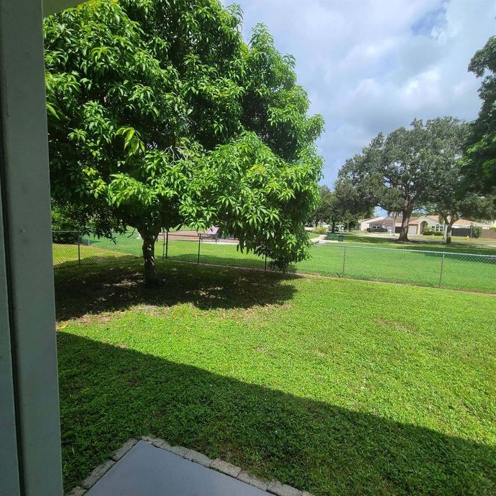 back yard