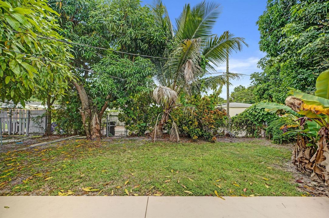 Backyard facing south