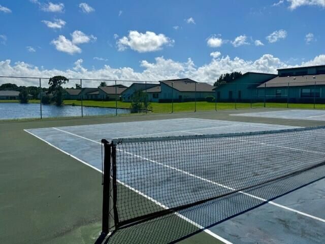 1744_w_royal_tern_24