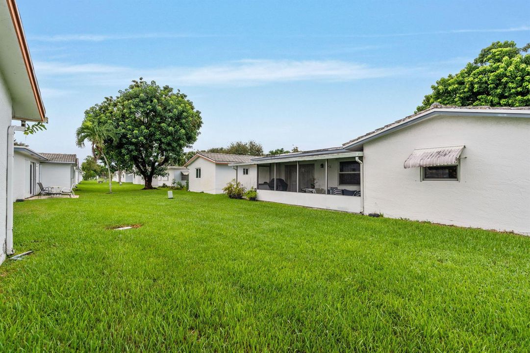 Backyard