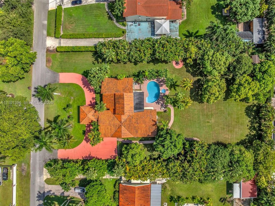 Expansive property featuring a terra cotta roof, a paved circular driveway, a private swimming pool, and a large lawn surrounded by mature trees