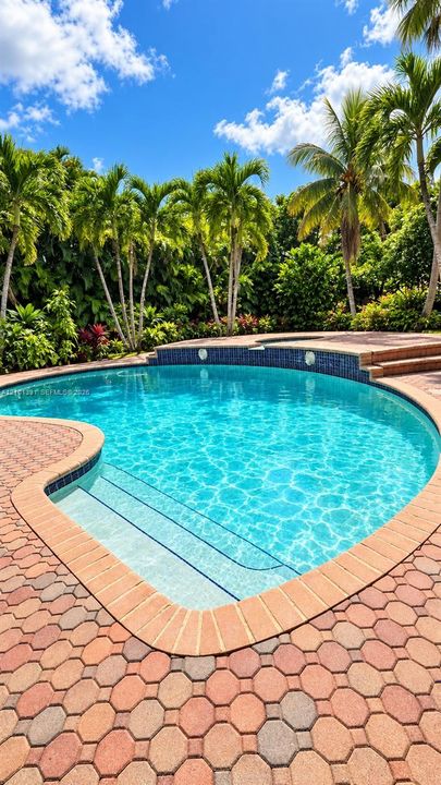 Curvilinear swimming pool featuring an elevated spa with tiled spillway, concrete paver decking, and mature palm tree landscaping