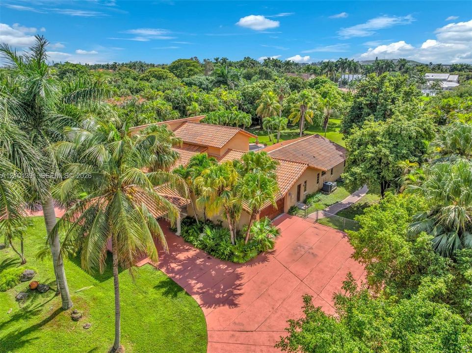 Extensive landscaping with mature palm trees, broad paved driveway, and terracotta roof tiles