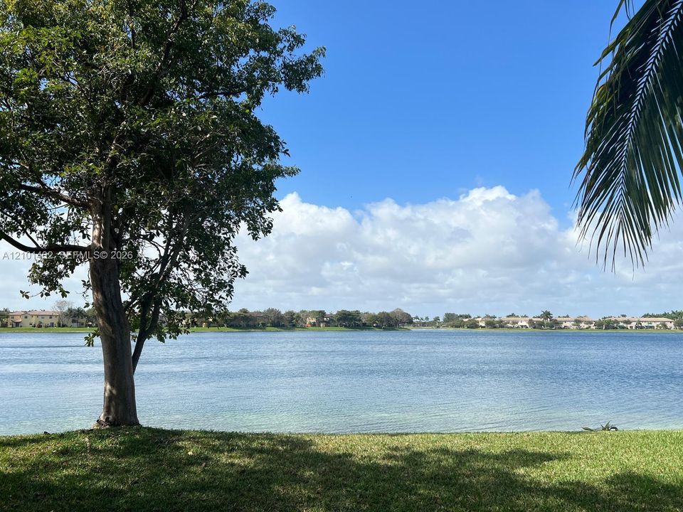 Amazing Lake side view