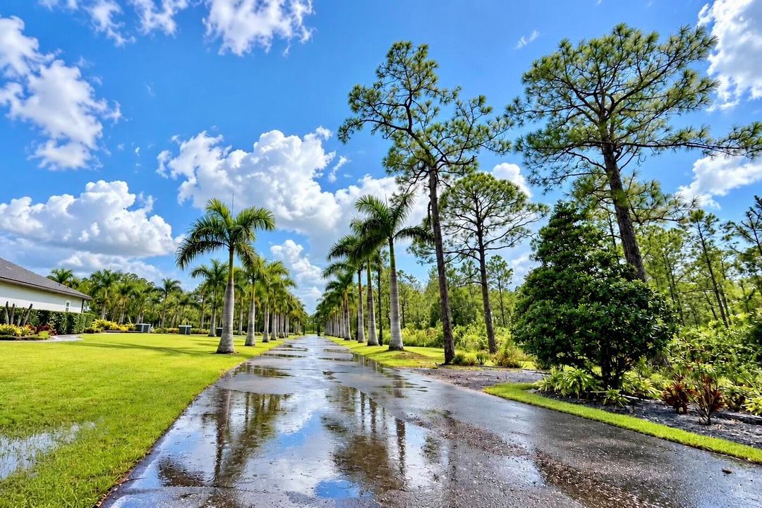 alt view of driveway