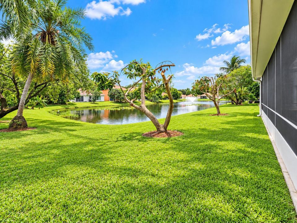 Lake Views